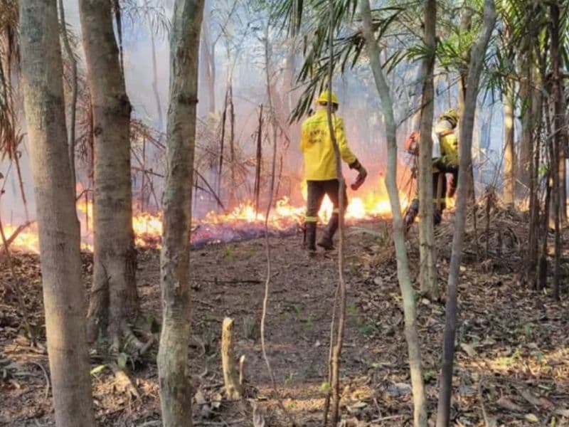Incêndio em lixão de Iranduba expõe riscos e pode gerar indenizações, explica advogada