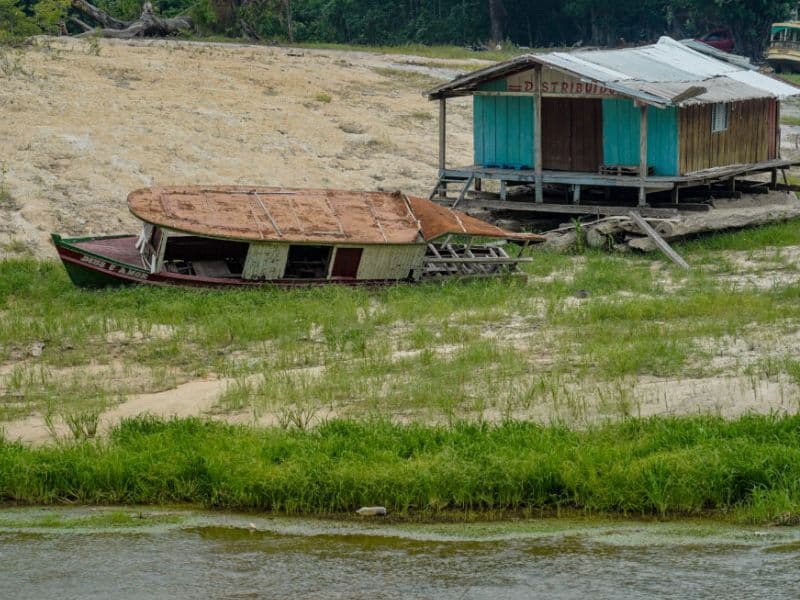 Crise climática é vista como principal ameaça ao futuro no Brasil, diz pesquisa