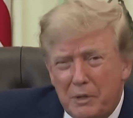 Justiça dos EUA bloqueia ordem de Trump sobre cidadania de bebês