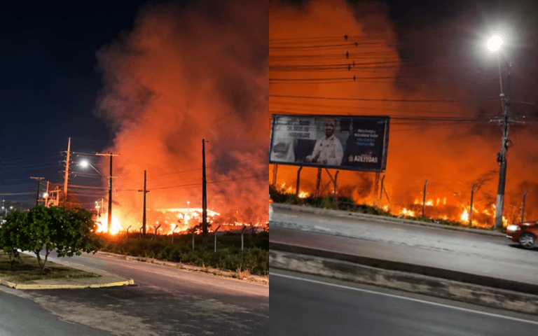Incêndio atinge área de vegetação na Torquato Tapajós, em Manaus