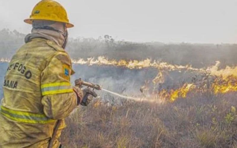 Força Nacional envia 160 bombeiros ao AM para combater incêndios