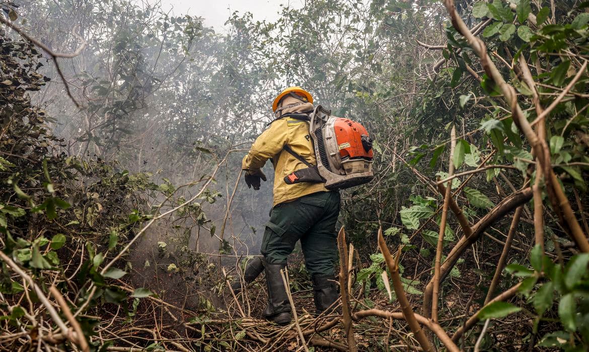 Amazonas tem 4 municípios entre os que mais queimam no Brasil