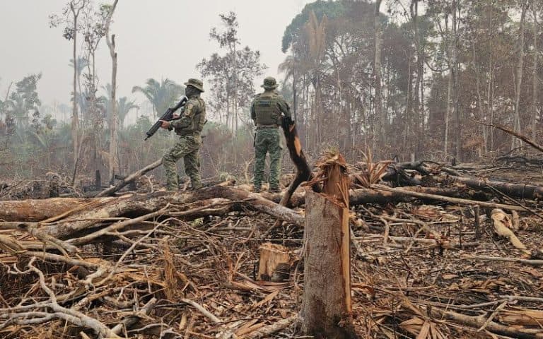 Ação humana lidera emissões de carbono na Amazônia, aponta estudo do Inpe