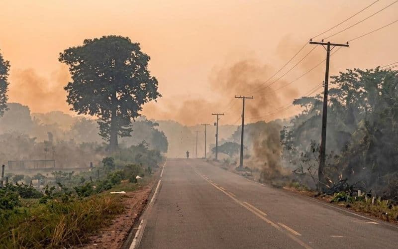 Amazonas registra 1.372 focos de incêndio em 12 dias de outubro